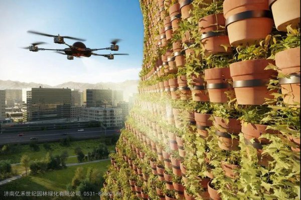 无土栽培立体盆栽技术的应用（家庭篇和城市篇）